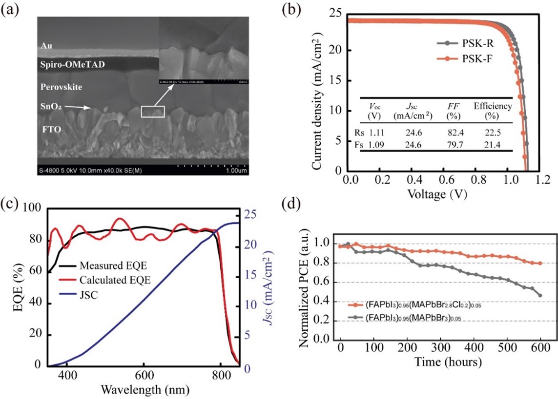 1653289918396123.jpg 1653289918396123.jpg