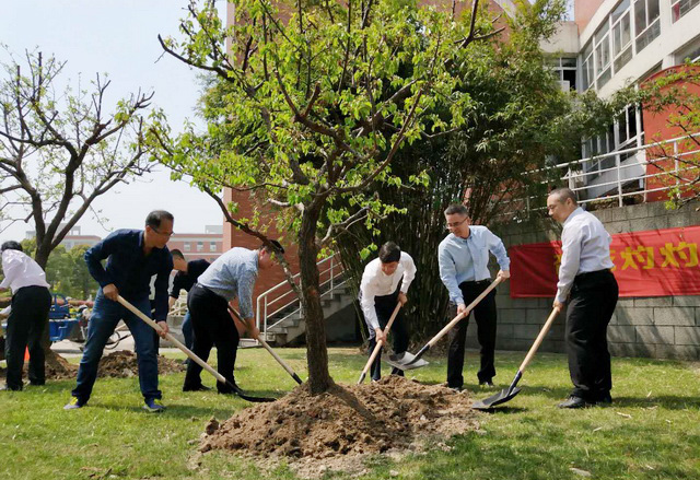 1523264971857338.jpg 3.jpg