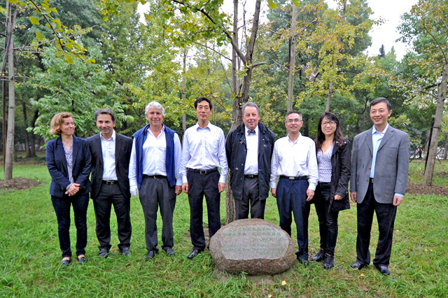 1477622429483237.jpg DSC_2070a.jpg